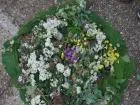 Land Art 8
