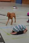 Hundetraining_3