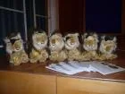 Lions Club 14